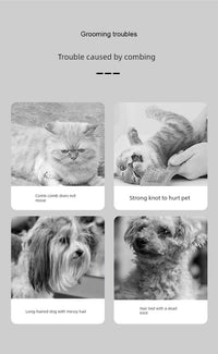 Dog Cat Hair Brush Special