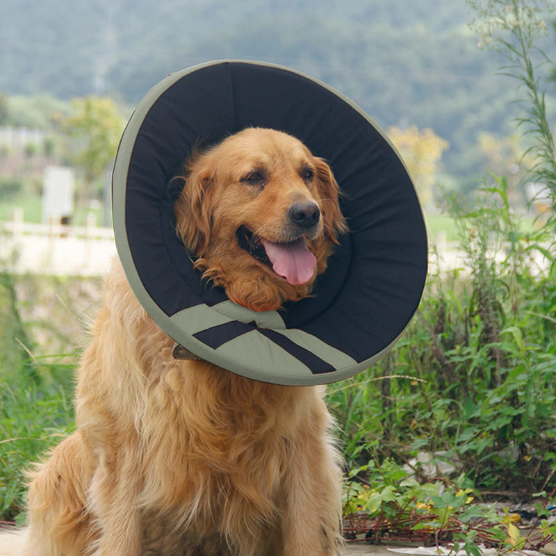 Cat Dog Collar Neck Cone Recovery Anti-lick Anti-bite