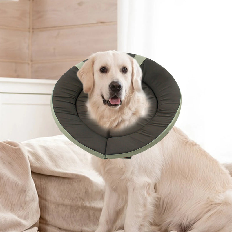 Cat Dog Collar Neck Cone Recovery Anti-lick Anti-bite