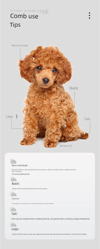 Dog Cat Hair Brush Special