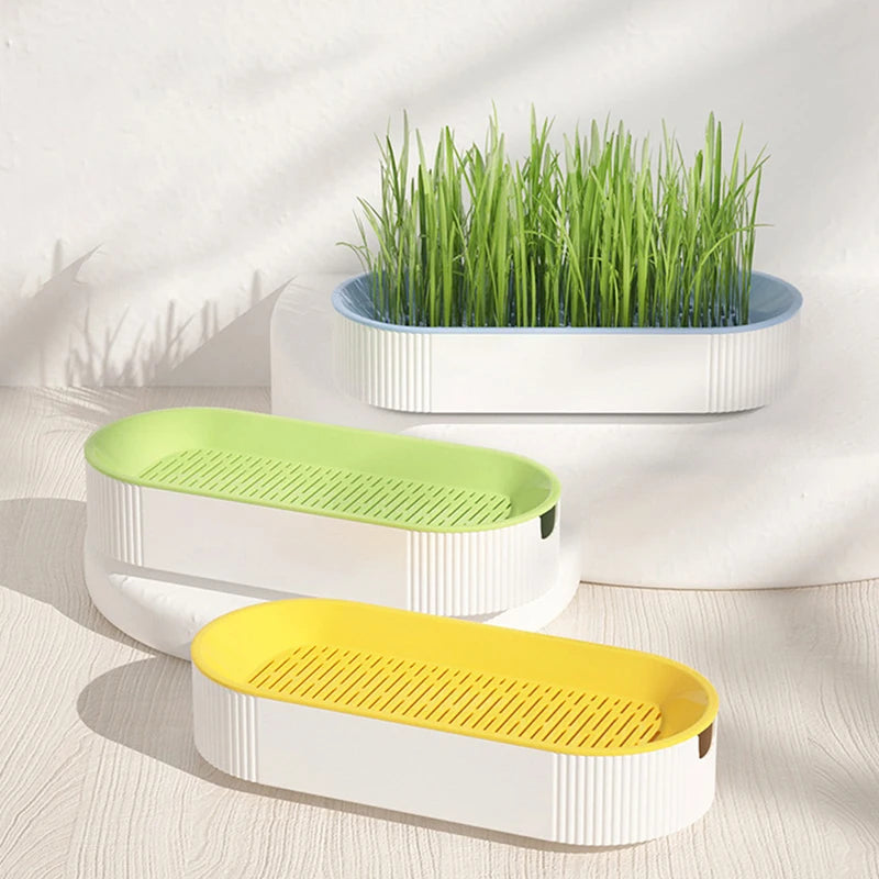 Hydroponic Cat Grass Box