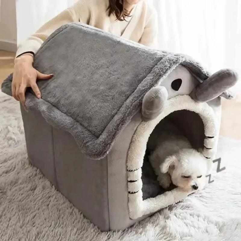 Cats and Dogs House