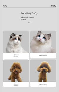 Dog Cat Hair Brush Special