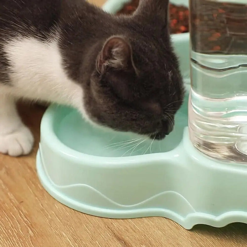 Smart 3.8L Pet Feeder & Water Fountain